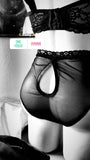 Panty Lotus
